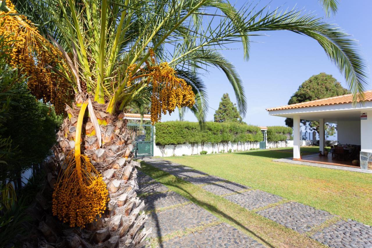 Finca La Vizcondesa อิคอดเดลอสวินอส ภายนอก รูปภาพ
