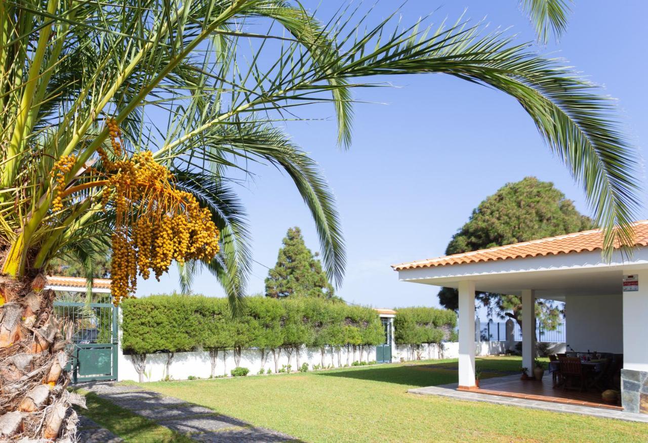 Finca La Vizcondesa อิคอดเดลอสวินอส ภายนอก รูปภาพ
